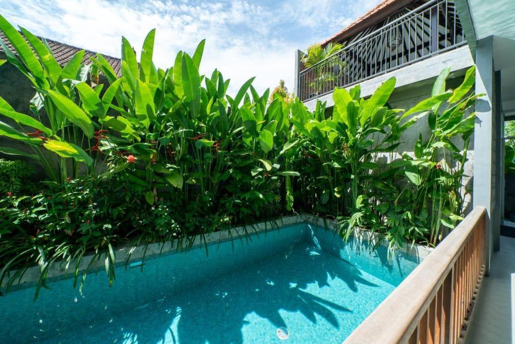 Euforia Guest House تْشانغو المظهر الخارجي الصورة
